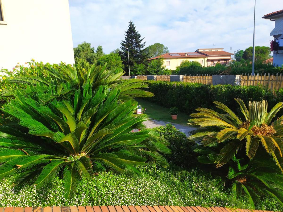 B&B Tra Mare E Marmo Marina Di Carrara Buitenkant foto