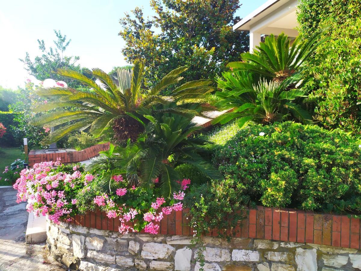 B&B Tra Mare E Marmo Marina Di Carrara Buitenkant foto